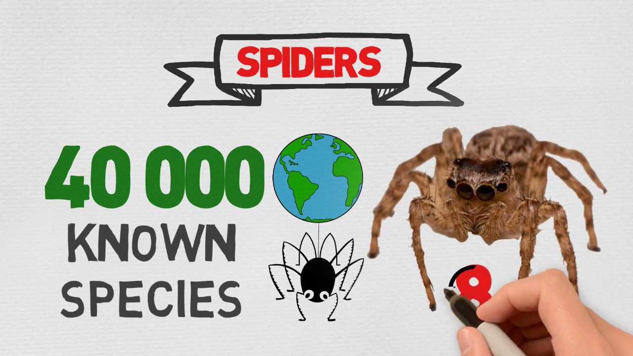 Arizona Pest Control project